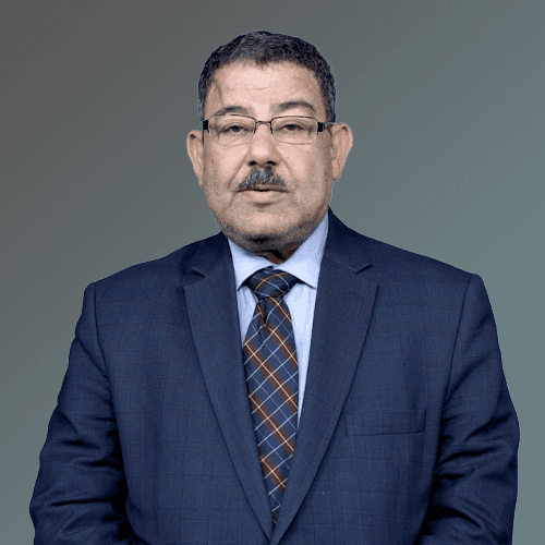 Seif Abdel Fattah's profile